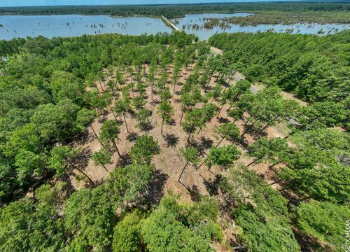 013 Fm 83, Broaddus, TX, 75929 | Card Image