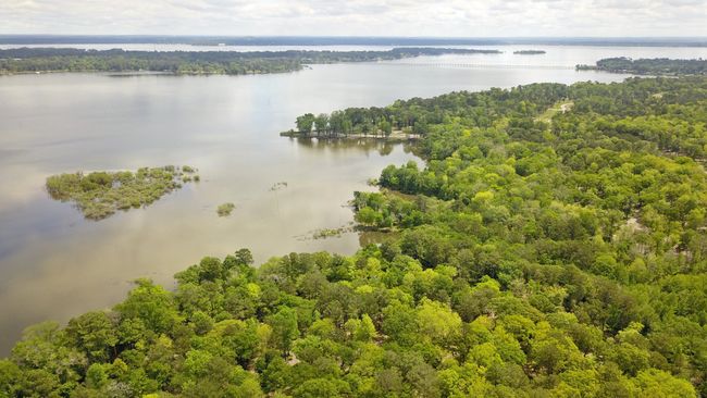 3200 Shadow Pine Dr, Home with 0 bedrooms, 0 bathrooms and null parking in LaRue TX | Image 19