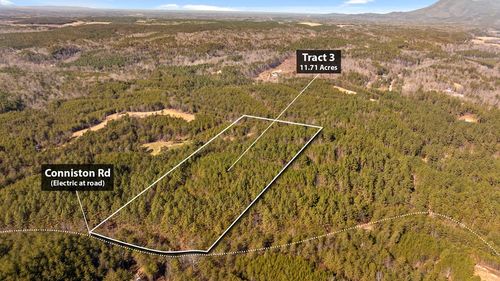 TR 92-3 Conniston Rd, Chatsworth, GA, 30705-6848 | Card Image