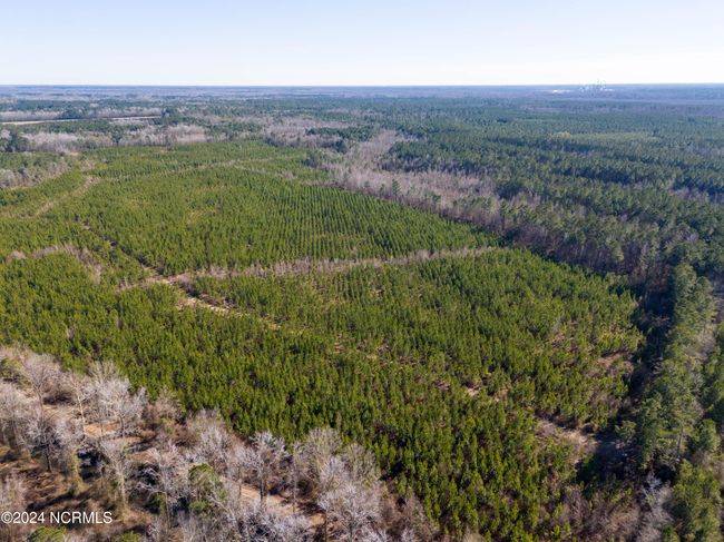 00 Sykes Town Rd, Home with 0 bedrooms, 0 bathrooms and null parking in Currie NC | Image 45