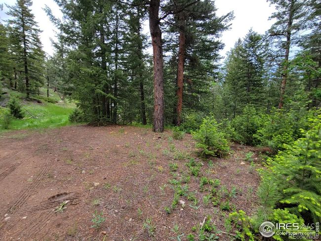 1 Mountain Lion Track Court, Home with 0 bedrooms, 0 bathrooms and null parking in Livermore CO | Image 13