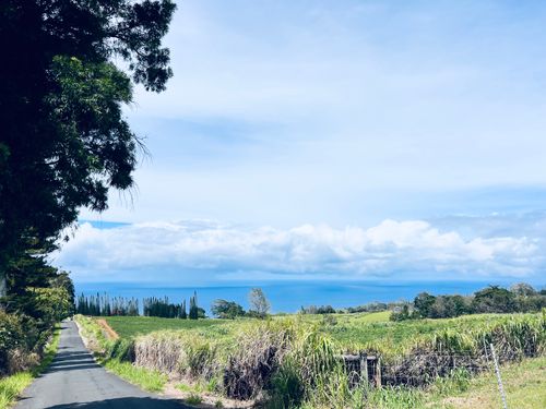 35-194 Papaaloa Rd, LAUPAHOEHOE, HI, 96764 | Card Image