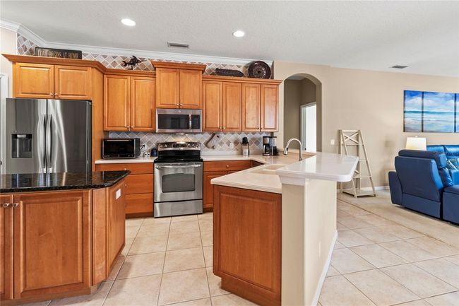 866 Oak Briar Ln, House other with 4 bedrooms, 2 bathrooms and null parking in OSPREY FL | Image 9