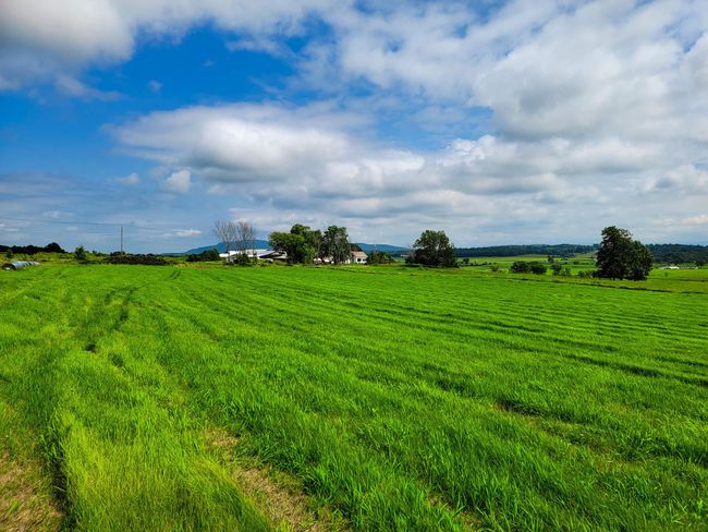 3 - 1545 Middle Road, Home with 0 bedrooms, 0 bathrooms and null parking in Bridport VT | Image 10