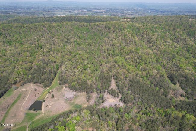 0 Coy Bradley Ln, Home with 0 bedrooms, 0 bathrooms and null parking in Bulls Gap TN | Image 6