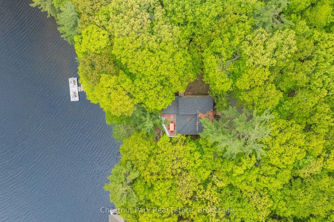 1066 Apiary Rd, House other with 4 bedrooms, 2 bathrooms and 6 parking in Port Carling ON | Image 13