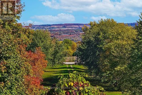 195908 Grey Road 7, Kimberley, ON, N0C1G0 | Card Image