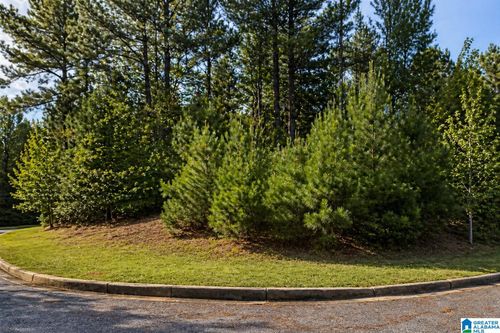 131-1002 Lakeview Lane, CALERA, AL, 35040 | Card Image