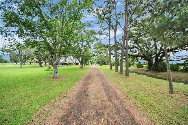 Long private driveway leads you home—offering privacy, charm. | Image 35