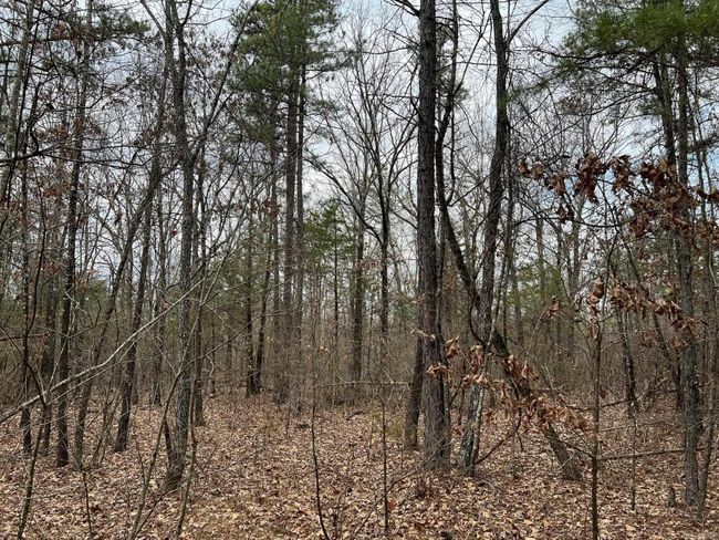 00 Yates Ln, Home with 0 bedrooms, 0 bathrooms and null parking in Tumbling Shoals AR | Image 12