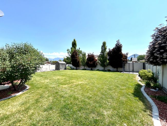 View of yard | Image 33