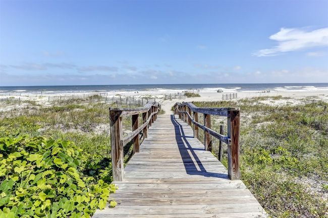 Beach walkover | Image 37
