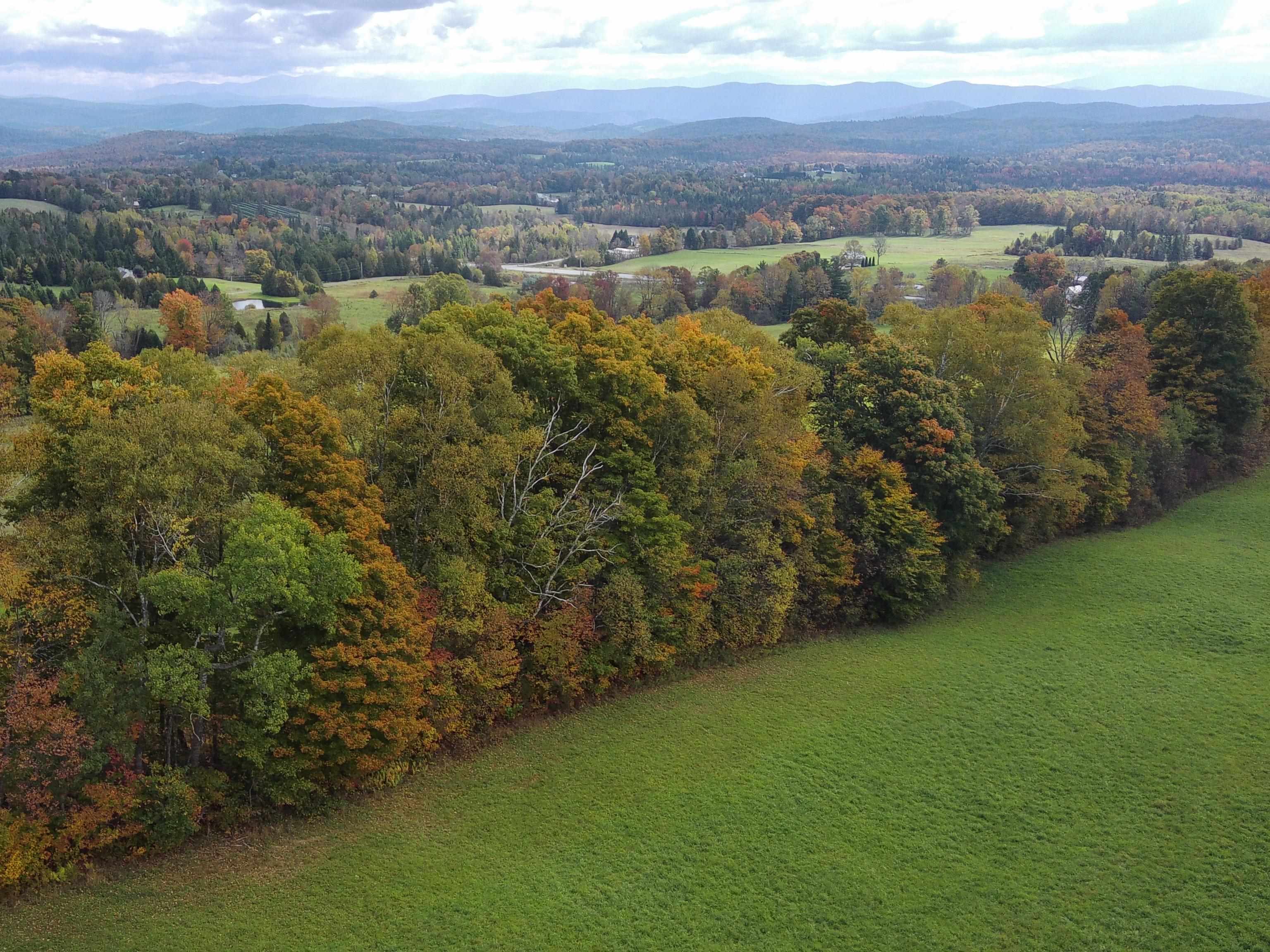 Land in Danville 4