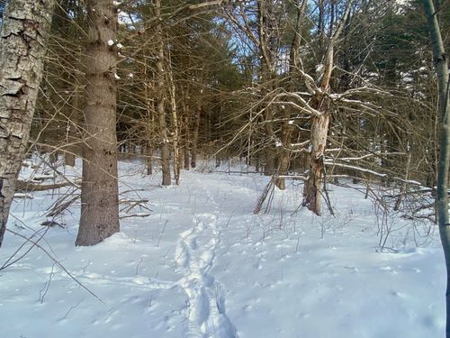 90 Vt Route 140, Tinmouth, VT, 05773 | Card Image