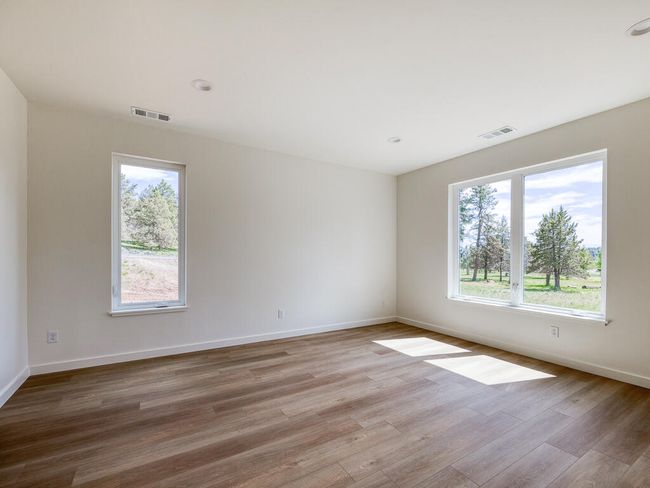 1168 Paper Birch-22 | Image 22