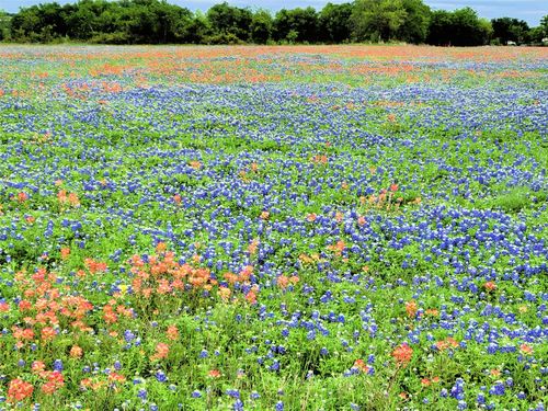 Lot 2 Private Road 425, Hillsboro, TX, 76645 | Card Image