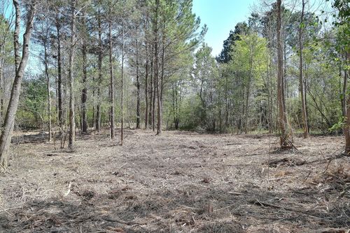 0 Collins Rd, Texarkana, TX, 75501 | Card Image