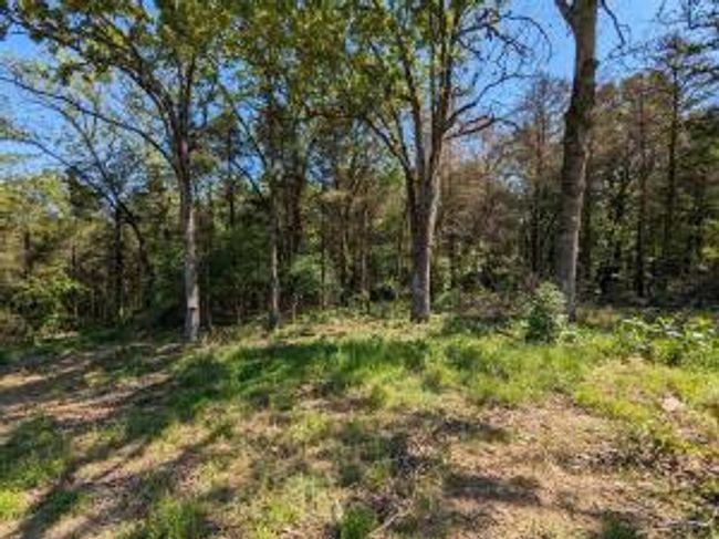 27B & 28B Shelby Lane, Home with 0 bedrooms, 0 bathrooms and null parking in Cecil AR | Image 18