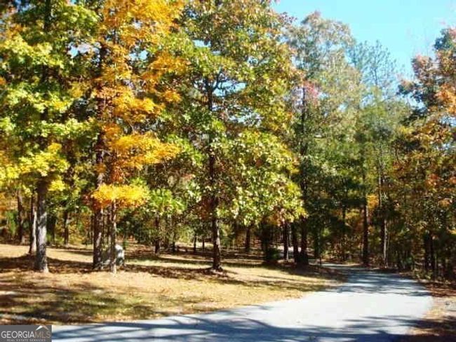 697 Waddell Rd, House other with 3 bedrooms, 3 bathrooms and 3 parking in Woodbury GA | Image 6