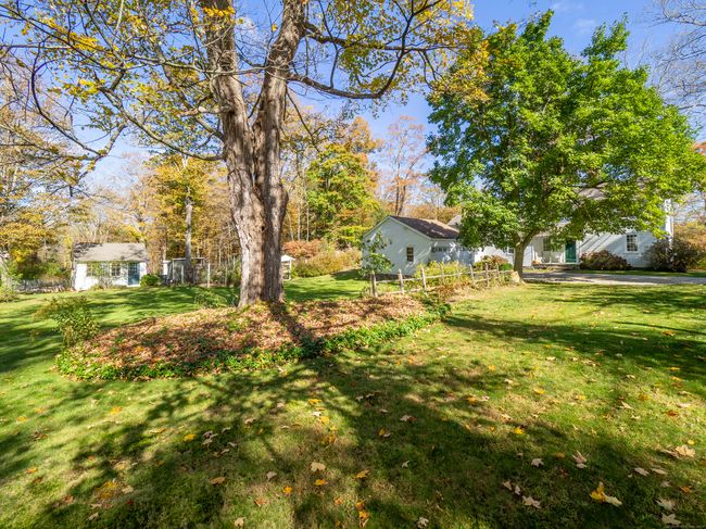 View of the yard from the Umpawaug side of the front yard | Image 5