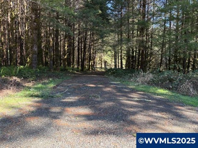 0 Logsden Rd, Home with 0 bedrooms, 0 bathrooms and null parking in Blodgett OR | Image 14