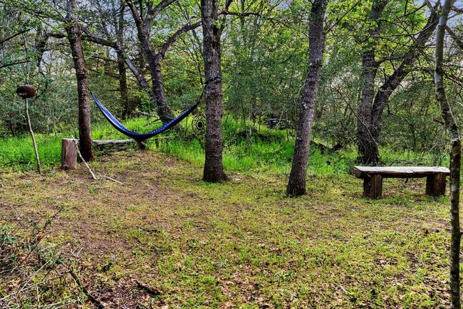 Resting spot on the walking trail | Image 38