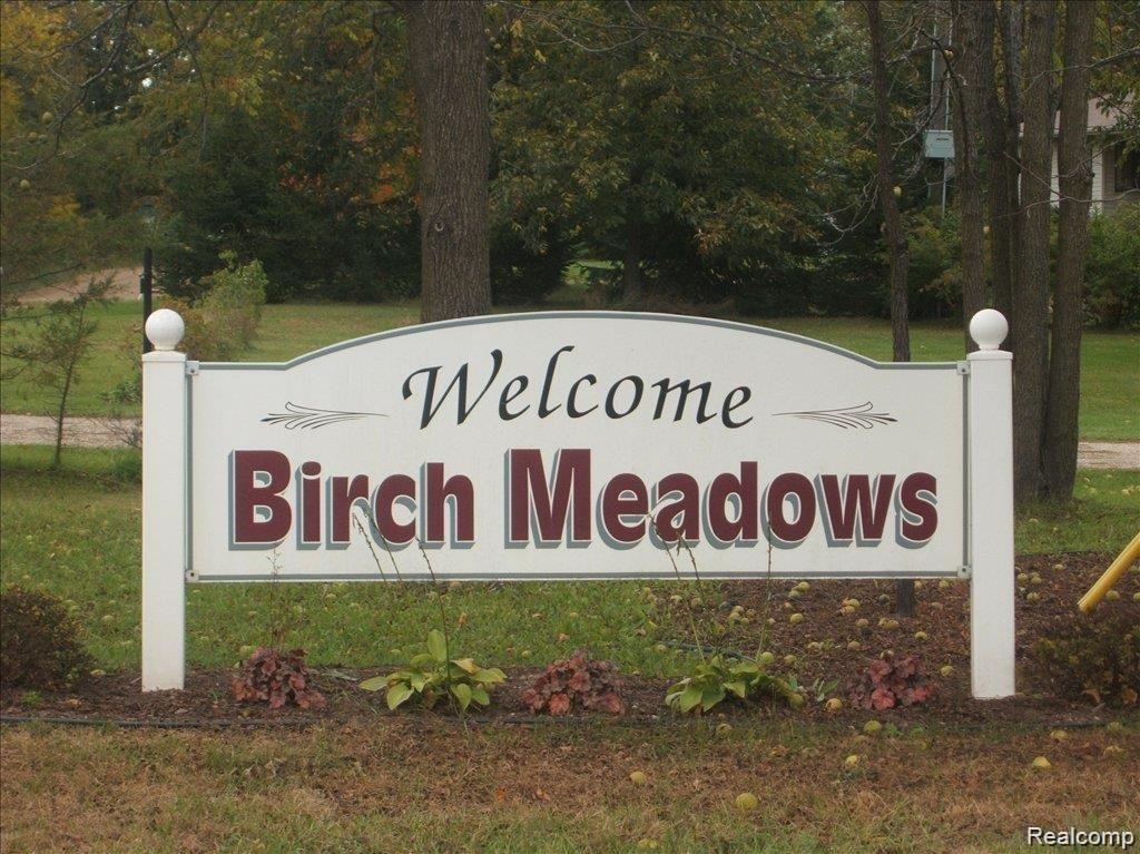 Birch Meadows Ln, Fowlerville, MI 48836 #1