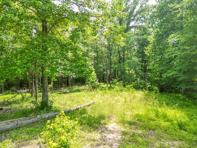 967 Ampthill Rd, House other with 3 bedrooms, 2 bathrooms and null parking in Cartersville VA | Image 54