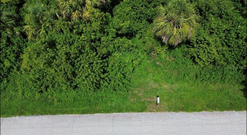 4099 Dotham St, PORT CHARLOTTE, FL, 33948-8968 | Card Image