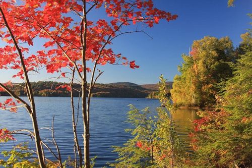 38 Terrace Vw, Grantham, NH, 03753-5487 | Card Image