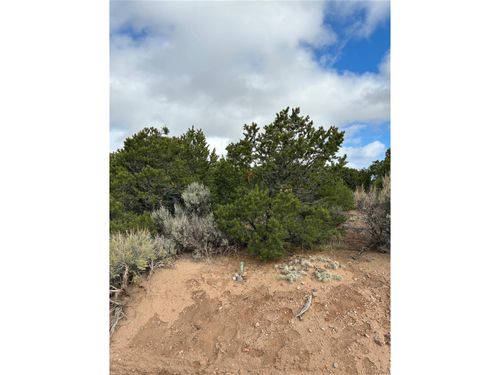 1057 Hotchkiss Rd, Fort Garland, CO, 81133 | Card Image