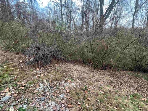 1154 Brady Gate Rd, Monterville, WV, 26282 | Card Image