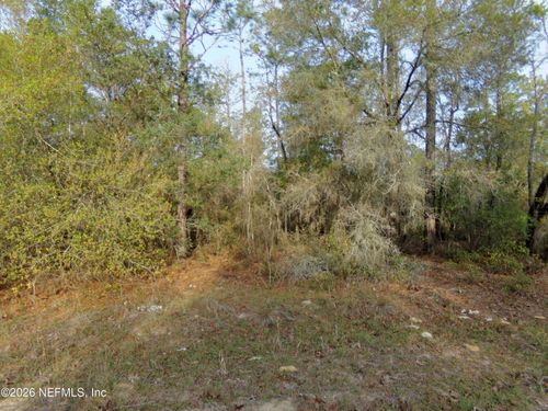 111 Brass St, Interlachen, FL, 32148 | Card Image