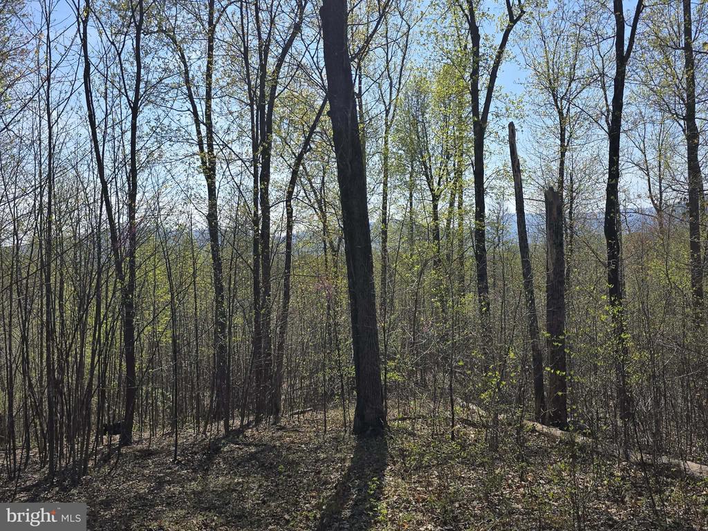 Land in MADISON 5