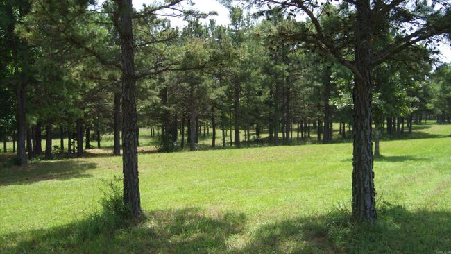 00 Morgan Rd, Home with 0 bedrooms, 0 bathrooms and null parking in Rose Bud AR | Image 8