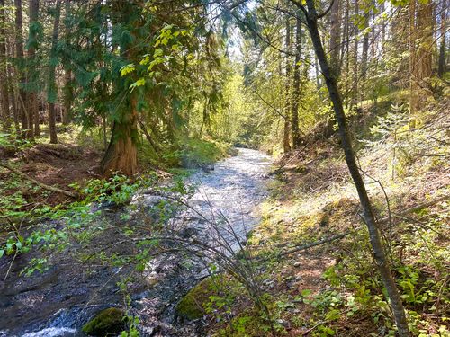 71 Osprey Dr E, Thompson Falls, MT, 59873-9516 | Card Image