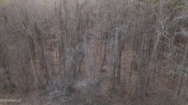 DJI_20250128163820_0365_D | Image 32