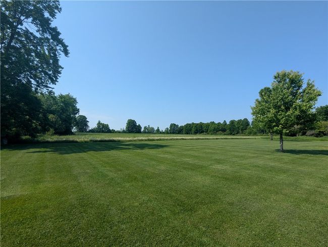 Front Lawn | Image 6