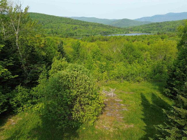 48 Alberts Ln, Home with 0 bedrooms, 0 bathrooms and null parking in Warren VT | Image 9