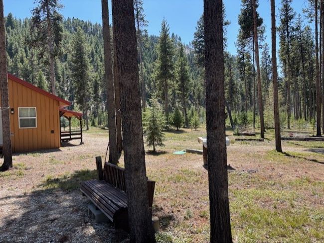 View of yard featuring a view of trees | Image 27