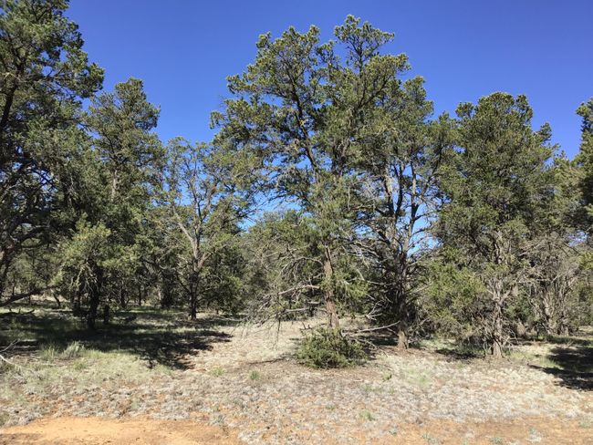 Lot 7 Red Fox Road, Home with 0 bedrooms, 0 bathrooms and null parking in Ramah NM | Image 8