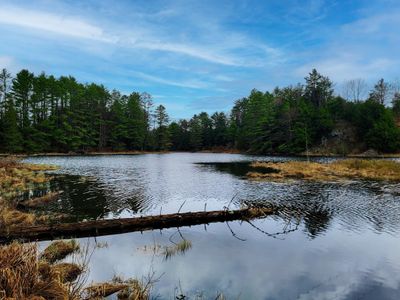 2775 Symes Pond Road, Home with 0 bedrooms, 0 bathrooms and null parking in Ryegate VT | Image 3