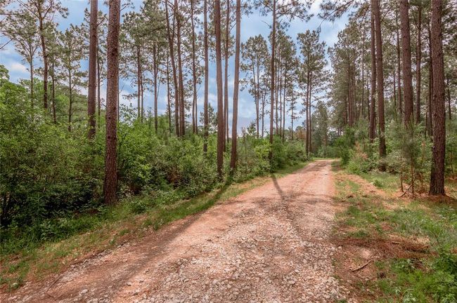 4785 Us Highway 287 S, Home with 4 bedrooms, 2 bathrooms and 3 parking in Crockett TX | Image 13