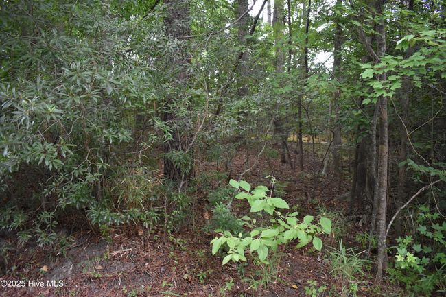 45 Evergreen, Home with 0 bedrooms, 0 bathrooms and null parking in Blounts Creek NC | Image 10
