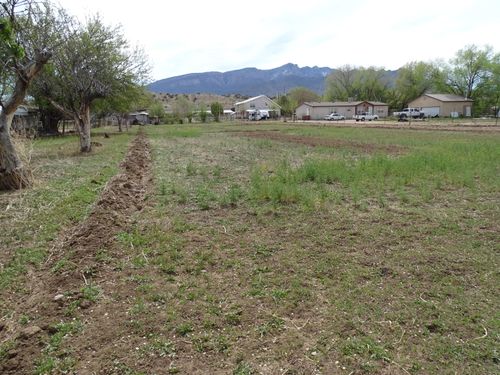 a-2-926 Oak St, Bernalillo, NM, 87004-6625 | Card Image