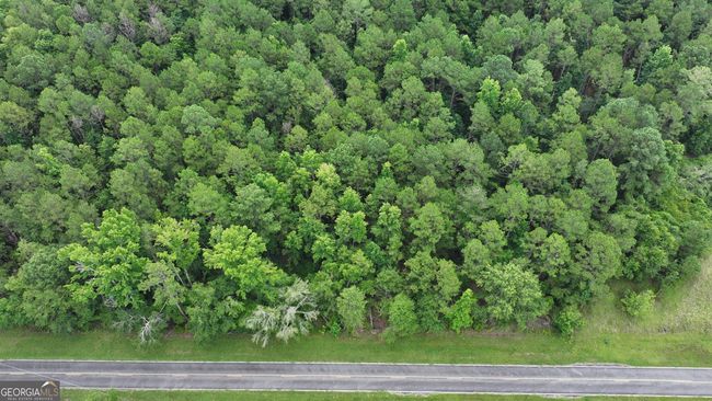 0 Boiling Springs Rd, Home with 0 bedrooms, 0 bathrooms and null parking in Soperton GA | Image 5