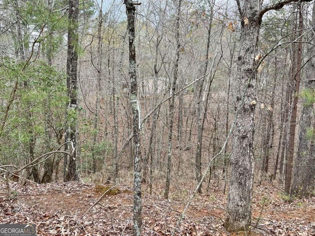 0 Mountain Ridge Dr, Home with 0 bedrooms, 0 bathrooms and null parking in Dahlonega GA | Image 11