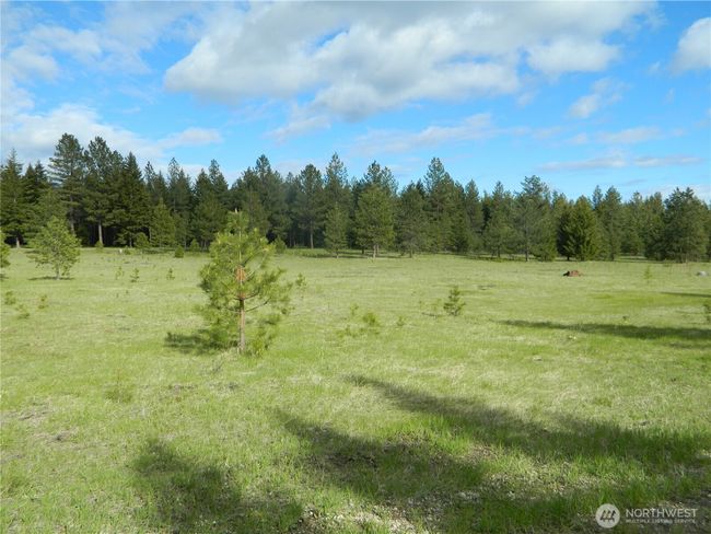 302 Summer Rd, House other with 1 bedrooms, 1 bathrooms and null parking in Tonasket WA | Image 15