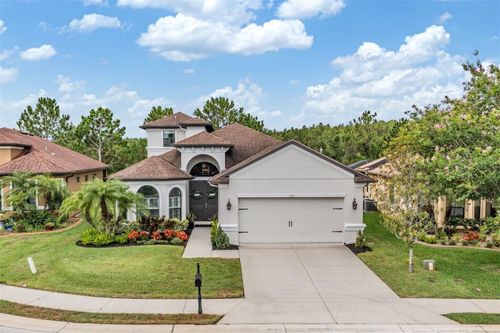 1013 Ketzal Dr, TRINITY, FL, 34655-7236 | Card Image