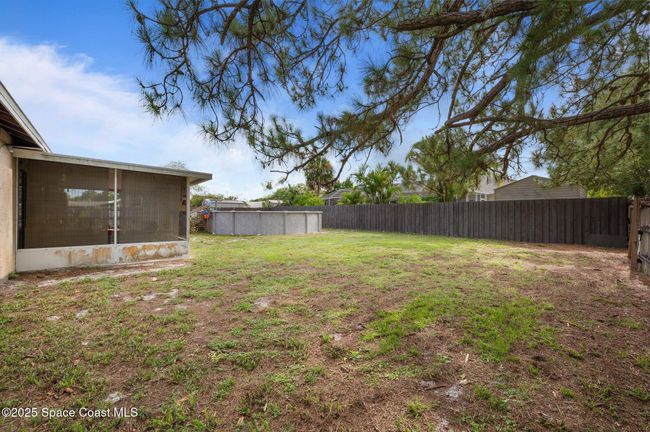Back Yard | Image 22